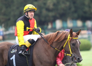 Uploaded image IMG_3628.JPG