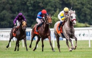 Nagroda Janowa: Mogadiusz, Ofirka Fata, Poryw