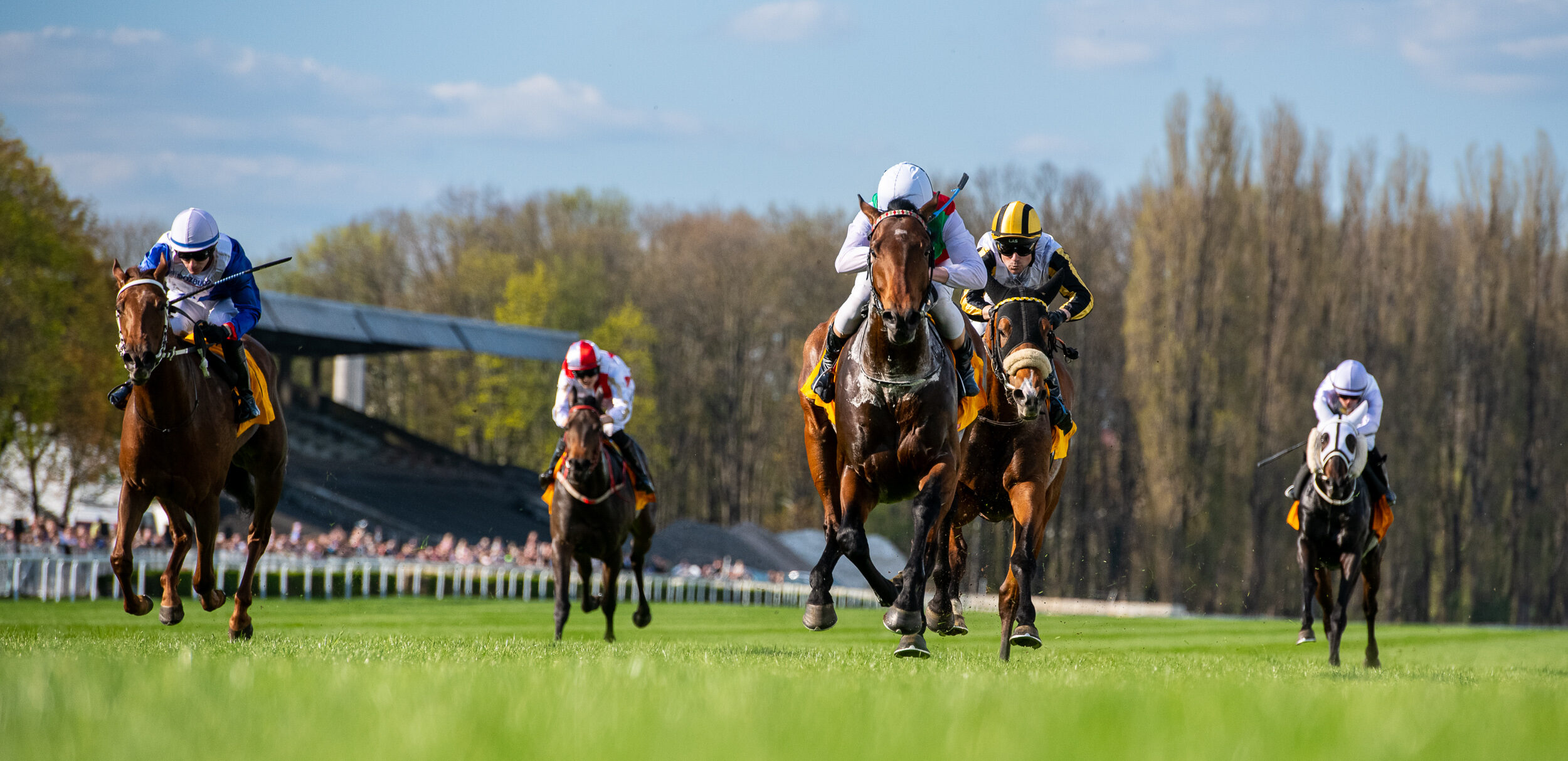 konie podczas gonitwy