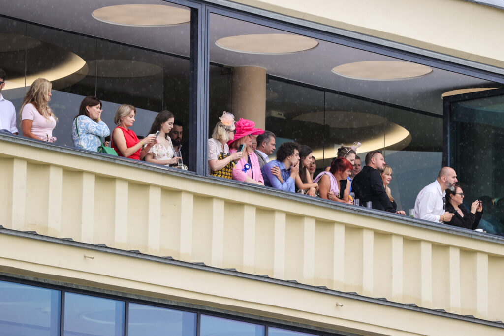 D84I1198 fot Dava Palej