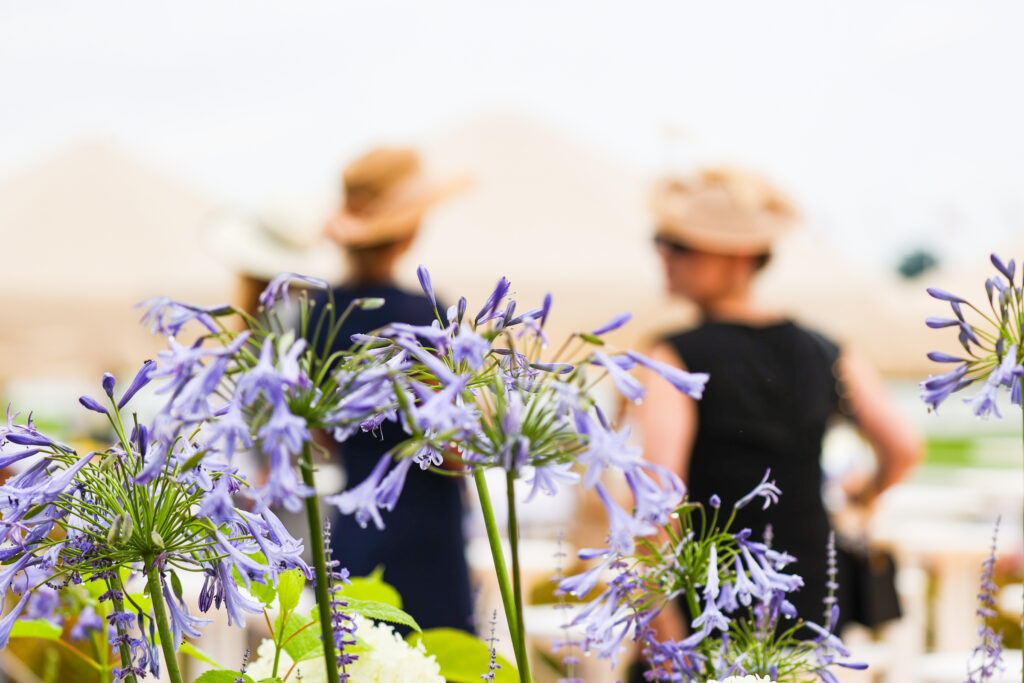 D84I1601 fot Dava Palej