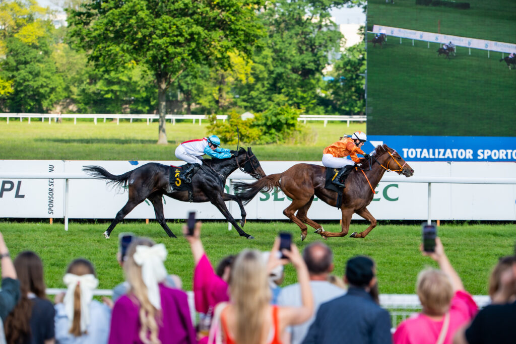 LK6_6837-(C) Lukasz Kowalski