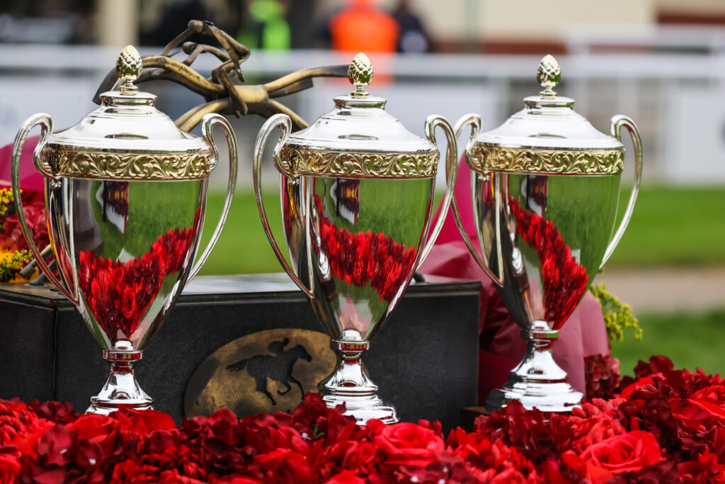 D84I3618 fot Dava Palej